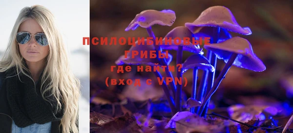 мескалин Мегион