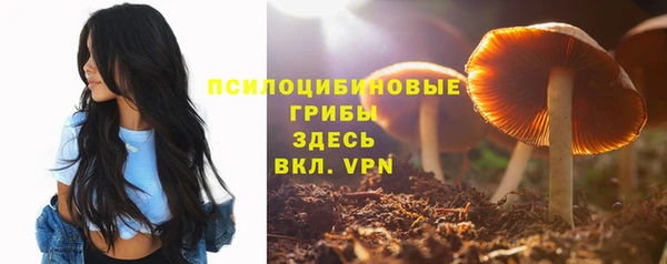 герыч Медногорск