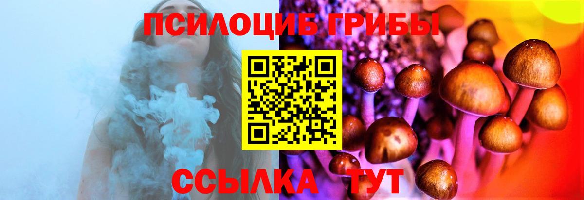 Курганинск  Псилоцибиновые грибы ЛСД  Вход с VPN 